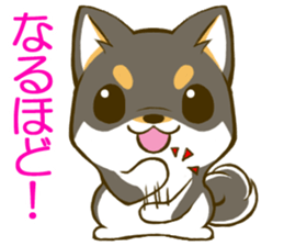 Japanese Black Shiba Inu tan 2 sticker #10056811