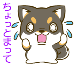 Japanese Black Shiba Inu tan 2 sticker #10056812