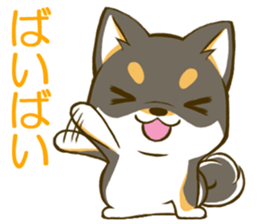 Japanese Black Shiba Inu tan 2 sticker #10056813
