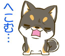 Japanese Black Shiba Inu tan 2 sticker #10056814