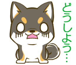 Japanese Black Shiba Inu tan 2 sticker #10056817