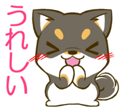 Japanese Black Shiba Inu tan 2 sticker #10056819
