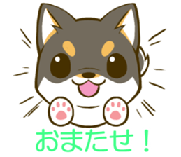 Japanese Black Shiba Inu tan 2 sticker #10056824