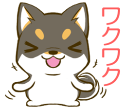 Japanese Black Shiba Inu tan 2 sticker #10056825