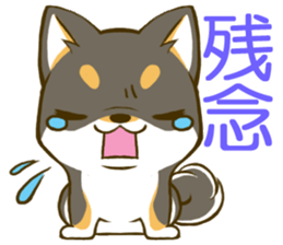 Japanese Black Shiba Inu tan 2 sticker #10056826