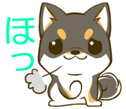Japanese Black Shiba Inu tan 2 sticker #10056829