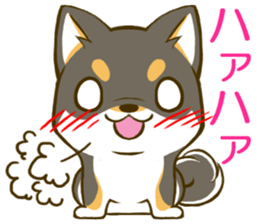 Japanese Black Shiba Inu tan 2 sticker #10056830