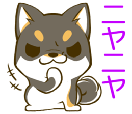 Japanese Black Shiba Inu tan 2 sticker #10056832