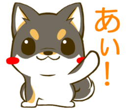 Japanese Black Shiba Inu tan 2 sticker #10056834