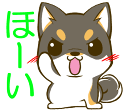 Japanese Black Shiba Inu tan 2 sticker #10056835