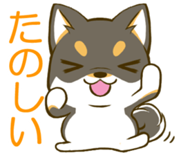 Japanese Black Shiba Inu tan 2 sticker #10056840
