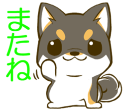 Japanese Black Shiba Inu tan 2 sticker #10056841