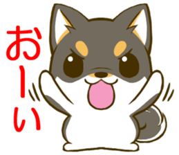 Japanese Black Shiba Inu tan 2 sticker #10056843
