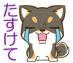Japanese Black Shiba Inu tan 2 sticker #10056844
