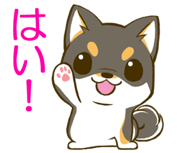Japanese Black Shiba Inu tan 2 sticker #10056845