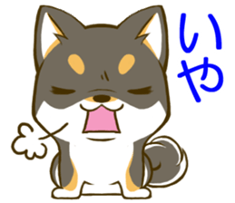 Japanese Black Shiba Inu tan 2 sticker #10056846