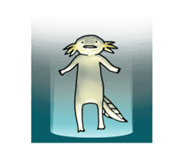 Axolotls (easy to use?) sticker #10056874