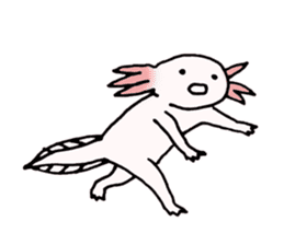 Axolotls (easy to use?) sticker #10056880