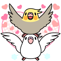 Cockatiel "Okame-inko"