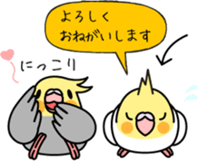 Cockatiel "Okame-inko" sticker #10057611