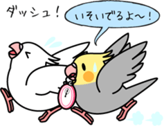 Cockatiel "Okame-inko" sticker #10057618