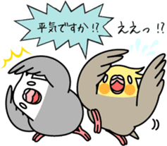 Cockatiel "Okame-inko" sticker #10057621