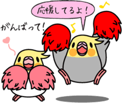Cockatiel "Okame-inko" sticker #10057622