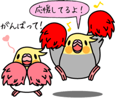 Cockatiel "Okame-inko" sticker #10057622
