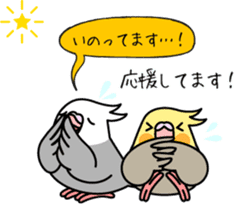 Cockatiel "Okame-inko" sticker #10057623