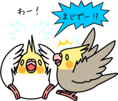 Cockatiel "Okame-inko" sticker #10057628