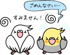 Cockatiel "Okame-inko" sticker #10057635