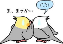 Cockatiel "Okame-inko" sticker #10057637