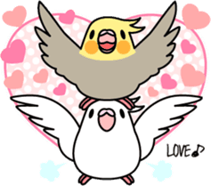 Cockatiel "Okame-inko" sticker #10057639