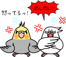 Cockatiel "Okame-inko" sticker #10057642