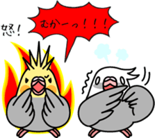 Cockatiel "Okame-inko" sticker #10057643