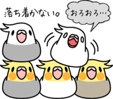 Cockatiel "Okame-inko" sticker #10057645