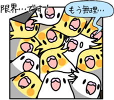 Cockatiel "Okame-inko" sticker #10057646