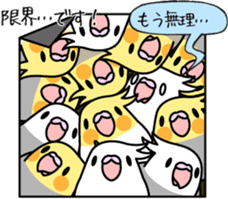 Cockatiel "Okame-inko" sticker #10057646