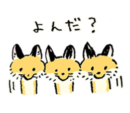three foxes! 2 sticker #10061168