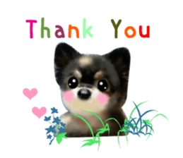 PON.de.Pomeranian4 sticker #10061409