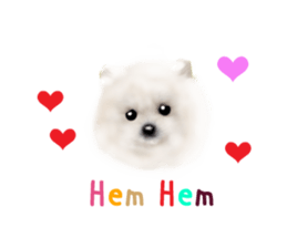 PON.de.Pomeranian4 sticker #10061411
