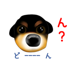 PON.de.Pomeranian4 sticker #10061412