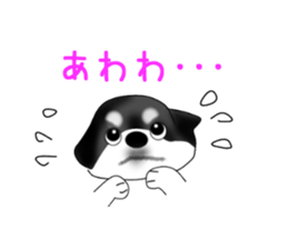 PON.de.Pomeranian4 sticker #10061418