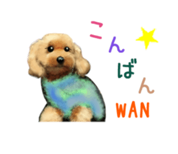 PON.de.Pomeranian4 sticker #10061424