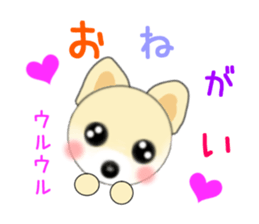 PON.de.Pomeranian4 sticker #10061425