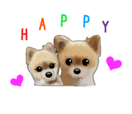 PON.de.Pomeranian4 sticker #10061432