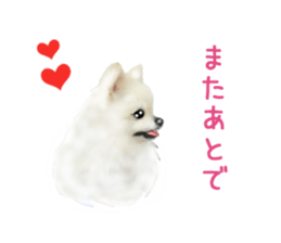 PON.de.Pomeranian4 sticker #10061435
