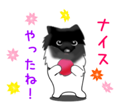 PON.de.Pomeranian4 sticker #10061441