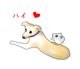 PON.de.Pomeranian4 sticker #10061445