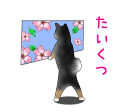 PON.de.Pomeranian4 sticker #10061446